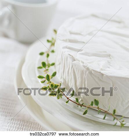 dairy products, food, cheese, cream cheese, brie cheese, Camembert cheese, closeup View Large Photo Image Stock Photo - dairy products, food, cheese, cream cheese, brie cheese, Camembert cheese, closeup. Fotosearch