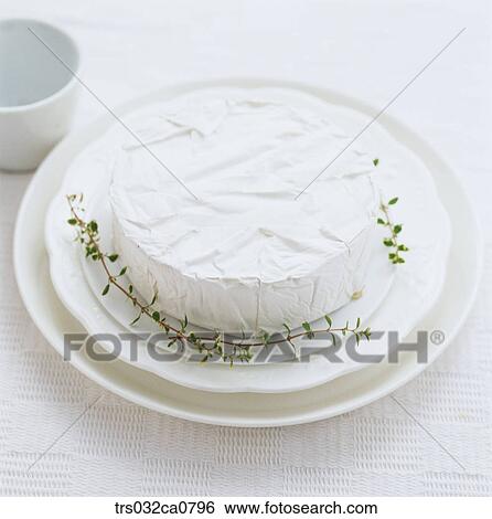 dairy products, food, cheese, cream cheese, brie cheese, Camembert cheese, closeup View Large Photo Image Stock Photograph - dairy products, food, cheese, cream cheese, brie cheese, Camembert cheese, closeup. Fotosearch