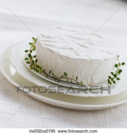 dairy products, food, cheese, cream cheese, brie cheese, Camembert cheese, closeup View Large Photo Image Stock Photography - dairy products, food, cheese, cream cheese, brie cheese, Camembert cheese, closeup. Fotosearch