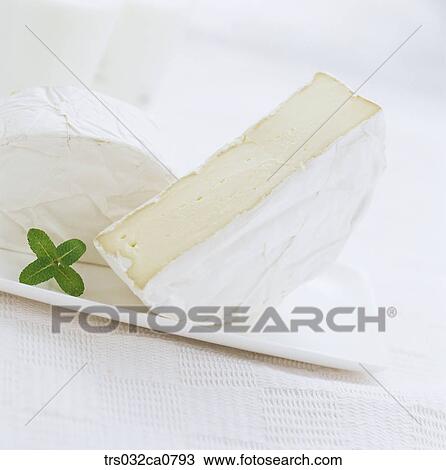 dairy products, food, cheese, slice, cream cheese, brie cheese, Camembert cheese View Large Photo Image Stock Image - dairy products, food, cheese, slice, cream cheese, brie cheese, Camembert cheese. Fotosearch