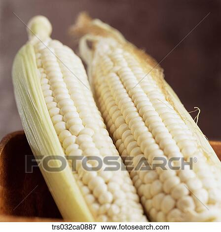cereals, food, corn, closeup View Large Photo Image Stock Photo - cereals, food, corn, closeup. Fotosearch