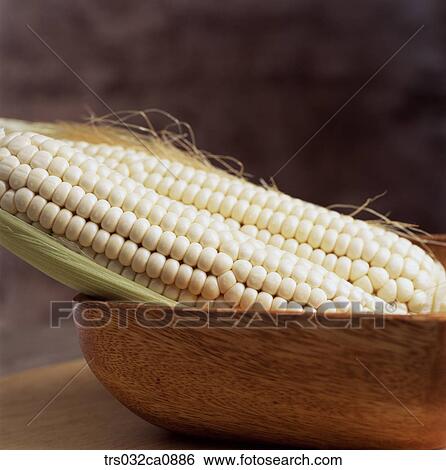cereals, food, corn, closeup View Large Photo Image Stock Photograph - cereals, food, corn, closeup. Fotosearch