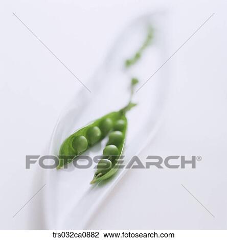 cereals, food, pea, bean, bean chaff, closeup View Large Photo Image Stock Image - cereals, food, pea, bean, bean chaff, closeup. Fotosearch