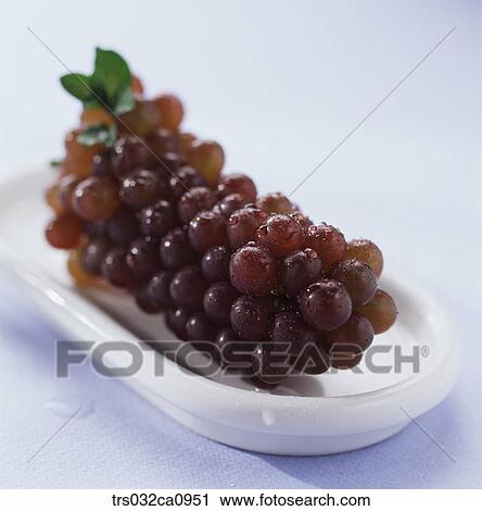 Stock Image - fruit, food, grape, plate, closeup. Fotosearch