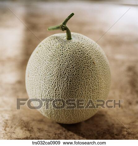 fruit, food, melon, tropical fruit, closeup View Large Photo Image Stock Photo - fruit, food, melon, tropical fruit, closeup. Fotosearch