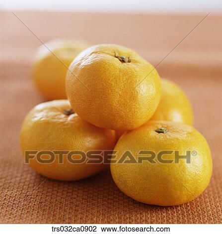 fruit, food, orange, closeup, tangerine View Large Photo Image Stock Image - fruit, food, orange, closeup, tangerine. Fotosearch