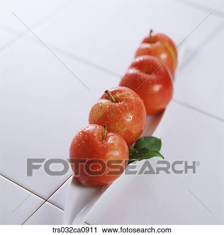 fruit, food, plum, closeup View Large Photo Image Stock Image - fruit, food, plum, closeup. Fotosearch