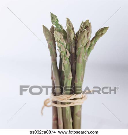 vegetable, food, asparagus, bundle, closeup View Large Photo Image Picture - vegetable, food, asparagus, bundle, closeup. Fotosearch