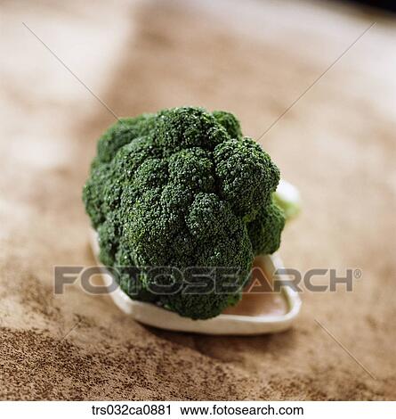 vegetable, food, broccoli, closeup View Large Photo Image Stock Image - vegetable, food, broccoli, closeup. Fotosearch