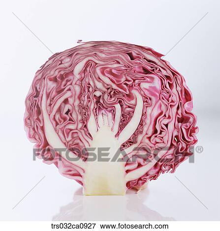 vegetable, food, cabbage, slice, object, closeup View Large Photo Image Stock Photo - vegetable, food, cabbage, slice, object, closeup. Fotosearch
