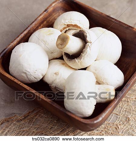 vegetable, food, mushroom, mushroom, closeup View Large Photo Image Stock Image - vegetable, food, mushroom, mushroom, closeup. Fotosearch