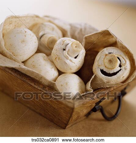 Stock Image - vegetable, food, mushroom, mushroom, closeup. Fotosearch