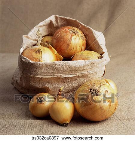 vegetable, food, onion, package, closeup, paper bag, pack View Large Photo Image Stock Photo - vegetable, food, onion, package, closeup, paper bag, pack. Fotosearch