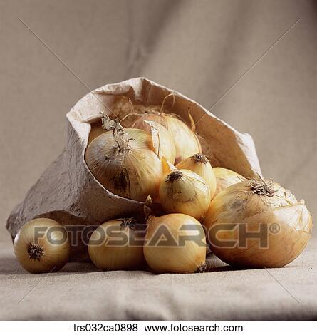 vegetable, food, onion, package, closeup, paper bag, pack View Large Photo Image Stock Photo - vegetable, food, onion, package, closeup, paper bag, pack. Fotosearch