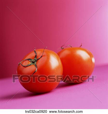 vegetable, food, tomato, closeup View Large Photo Image Stock Image - vegetable, food, tomato, closeup. Fotosearch