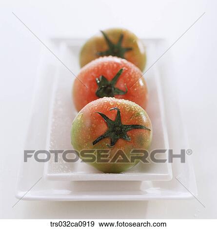 vegetable, food, tomato, object, closeup View Large Photo Image Stock Photo - vegetable, food, tomato, object, closeup. Fotosearch
