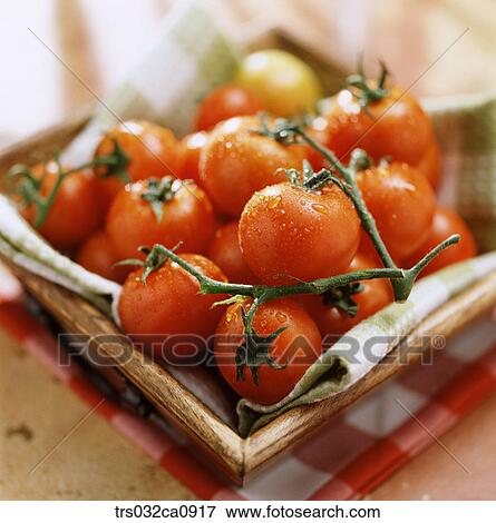 vegetable, food, tomato, tomato, closeup View Large Photo Image Stock Photo - vegetable, food, tomato, tomato, closeup. Fotosearch