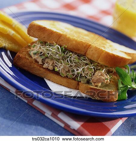 fastfood, food, dish, bud, tuna, sandwich, plate View Large Photo Image Stock Image - fastfood, food, dish, bud, tuna, sandwich, plate. Fotosearch