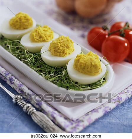 salad, food, egg, egg, boiled egg, salad, closeup View Large Photo Image Picture - salad, food, egg, egg, boiled egg, salad, closeup. Fotosearch
