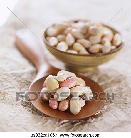 Stock Photo - cereals, food, bean, rice scoop, closeup. Fotosearch