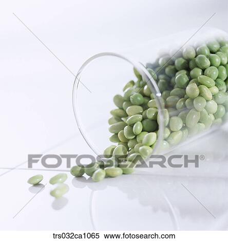 cereals, food, broad bean, bean, closeup View Large Photo Image Stock Photography - cereals, food, broad bean, bean, closeup. Fotosearch