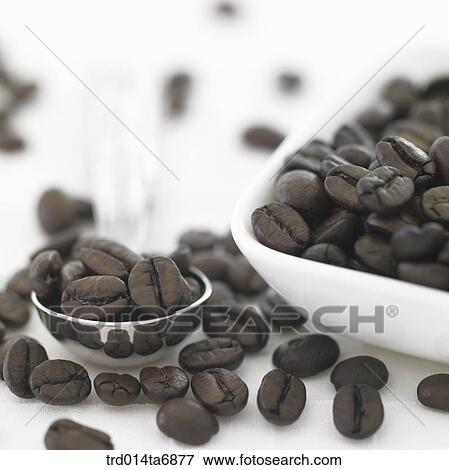 beverage, drink, coffee, fruit, coffee, closeup, tea spoon View Large Photo Image Stock Photo - beverage, drink, coffee, fruit, coffee, closeup, tea spoon. Fotosearch