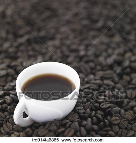 beverage, drink, coffee, fruit, coffee, coffee cup, closeup View Large Photo Image Stock Photograph - beverage, drink, coffee, fruit, coffee, coffee cup, closeup. Fotosearch