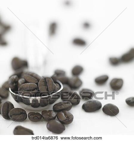 beverage, drink, coffee, fruit, coffee, closeup, tea spoon View Large Photo Image Stock Photograph - beverage, drink, coffee, fruit, coffee, closeup, tea spoon. Fotosearch