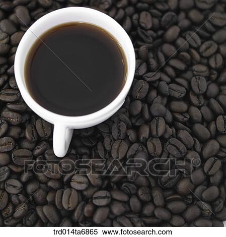 beverage, drink, coffee, fruit, coffee, coffee cup, high angle View Large Photo Image Stock Photography - beverage, drink, coffee, fruit, coffee, coffee cup, high angle. Fotosearch
