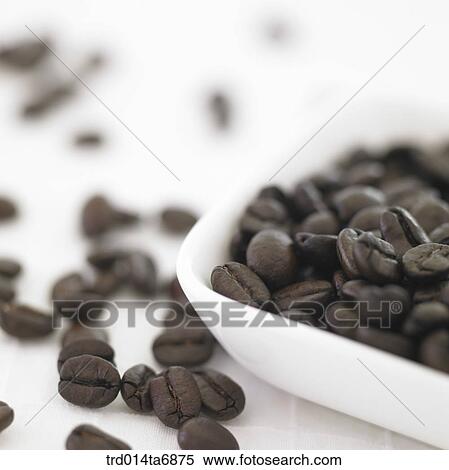 beverage, drink, coffee, fruit, coffee, closeup, plate View Large Photo Image Stock Photography - beverage, drink, coffee, fruit, coffee, closeup, plate. Fotosearch