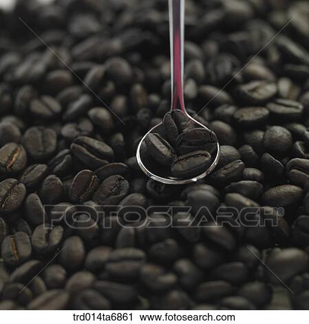 beverage, drink, coffee, fruit, closeup, spoon, tea spoon View Large Photo Image Stock Image - beverage, drink, coffee, fruit, closeup, spoon, tea spoon. Fotosearch
