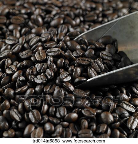 Stock Photo - closeup, beverage, drink, coffee, fruit, rice scoop. Fotosearch
