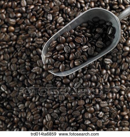 closeup, beverage, drink, coffee, fruit, high angle, rice scoop View Large Photo Image Stock Photo - closeup, beverage, drink, coffee, fruit, high angle, rice scoop. Fotosearch