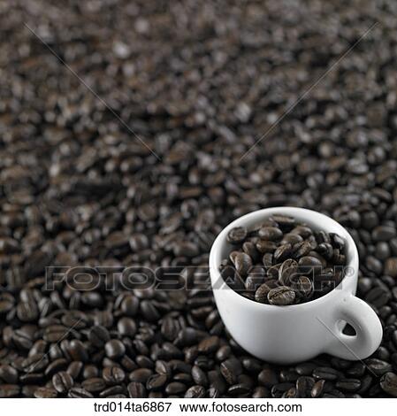 closeup, beverage, drink, coffee, fruit, coffee cup View Large Photo Image Stock Photo - closeup, beverage, drink, coffee, fruit, coffee cup. Fotosearch