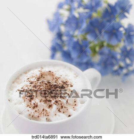 object, beverage, drink, coffee, Cappuccino, coffee cup, plate View Large Photo Image Stock Image - object, beverage, drink, coffee, Cappuccino, coffee cup, plate. Fotosearch