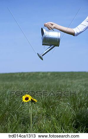Stock Image - person, Asian, woman, outdoor, rest, business. Fotosearch