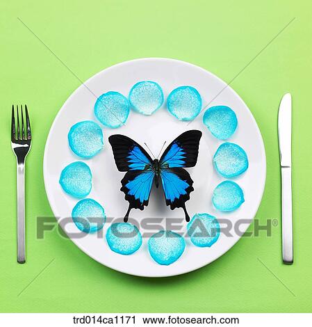 object, object, plate, butterfly, insect, blue View Large Photo Image Stock Image - object, object, plate, butterfly, insect, blue. Fotosearch