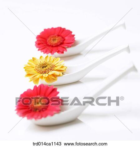 object, object, spoon, flower, red, yellow View Large Photo Image Stock Image - object, object, spoon, flower, red, yellow. Fotosearch