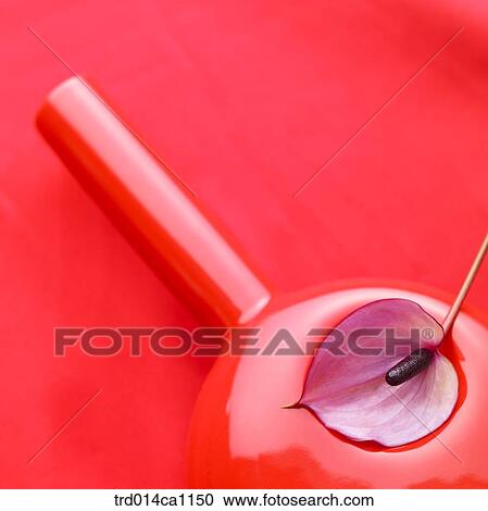 object, object, stuff, red, flower, purple View Large Photo Image Stock Image - object, object, stuff, red, flower, purple. Fotosearch