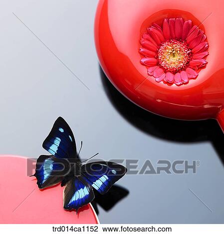 object, object, stuff, red, flower, butterfly, insect View Large Photo Image Stock Image - object, object, stuff, red, flower, butterfly, insect. Fotosearch