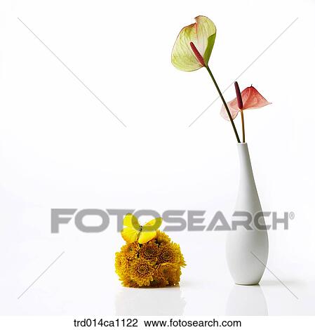 Stock Image - object, object, vase, flower, red, green, yellow. Fotosearch