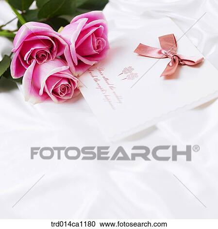 object, rose, flower, pink, card, letter, ribbon View Large Photo Image Stock Image - object, rose, flower, pink, card, letter, ribbon. Fotosearch