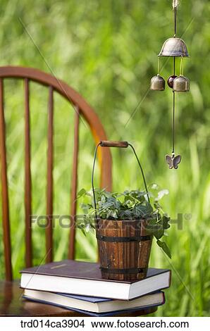 garden, day, daytime, daylight, outdoor, chair, plant View Large Photo Image Picture - garden, day, daytime, daylight, outdoor, chair, plant. Fotosearch