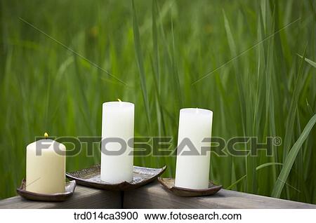 Stock Image - garden, day, daytime, daylight, plant, vegetation, outdoor. Fotosearch
