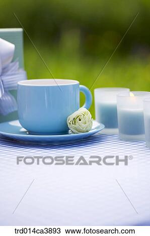 garden, day, daytime, daylight, outdoor, table, plant View Large Photo Image Stock Image - garden, day, daytime, daylight, outdoor, table, plant. Fotosearch