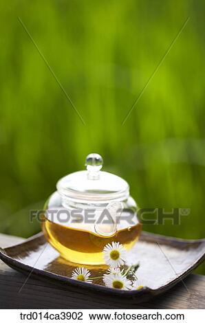 garden, day, daytime, daylight, outdoor, table, plant View Large Photo Image Stock Image - garden, day, daytime, daylight, outdoor, table, plant. Fotosearch