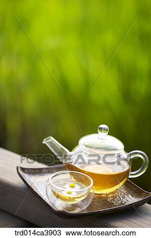 garden, day, daytime, daylight, outdoor, table, plant View Large Photo Image Stock Image - garden, day, daytime, daylight, outdoor, table, plant. Fotosearch
