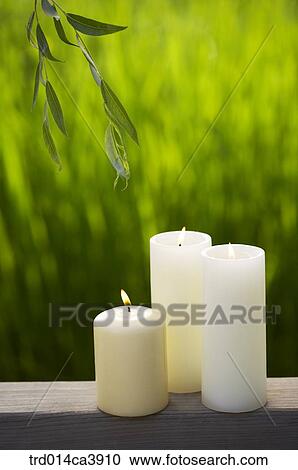 garden, day, daytime, daylight, outdoor, table, plant View Large Photo Image Stock Image - garden, day, daytime, daylight, outdoor, table, plant. Fotosearch