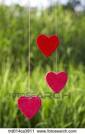 garden, day, daytime, daylight, outdoor, heart, red View Large Photo Image Stock Image - garden, day, daytime, daylight, outdoor, heart, red. Fotosearch