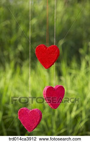 garden, day, daytime, daylight, outdoor, heart, red View Large Photo Image Stock Image - garden, day, daytime, daylight, outdoor, heart, red. Fotosearch